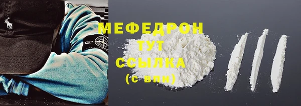 индика Новозыбков