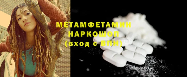 индика Новозыбков