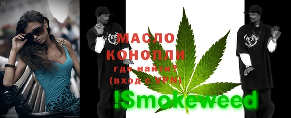 индика Новозыбков