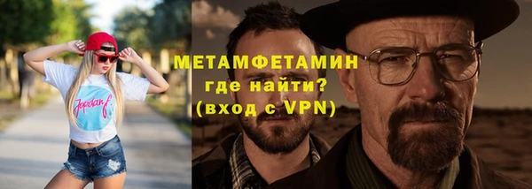 индика Новозыбков