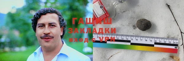 индика Новозыбков