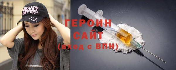 индика Новозыбков