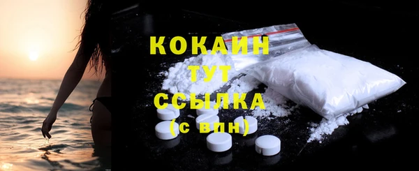 дмт Новодвинск