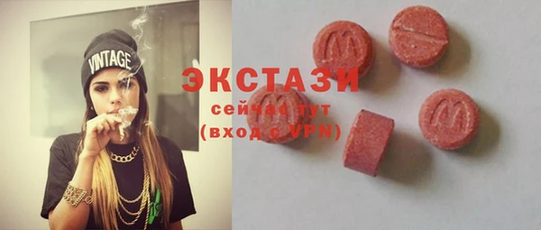 индика Новозыбков