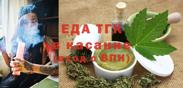 индика Новозыбков
