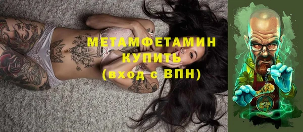 индика Новозыбков