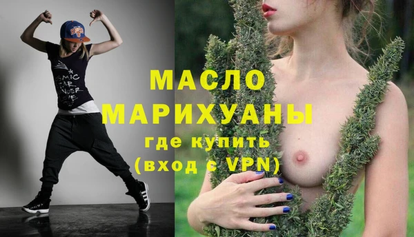 индика Новозыбков