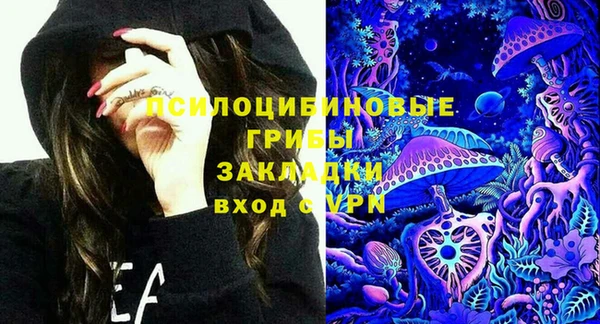 индика Новозыбков
