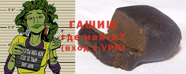индика Новозыбков