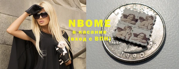индика Новозыбков
