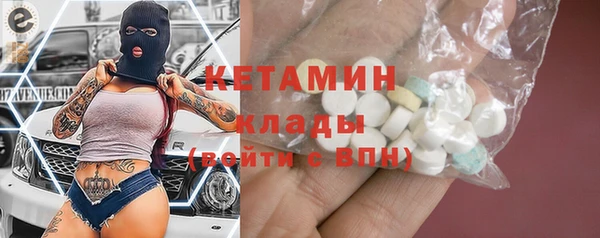 индика Новозыбков