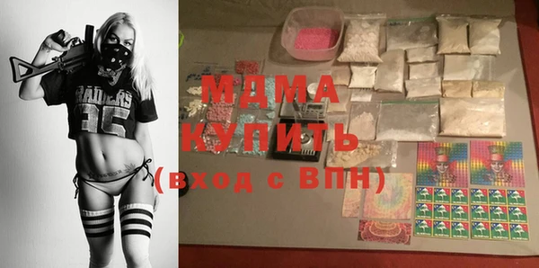 индика Новозыбков