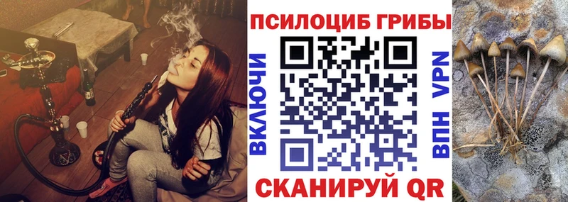Галлюциногенные грибы Psilocybine cubensis  МЕГА ССЫЛКА  Пушкино 