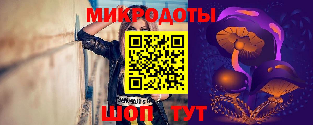 Пушкино  Псилоцибиновые грибы Psilocybe  Вход с VPN 